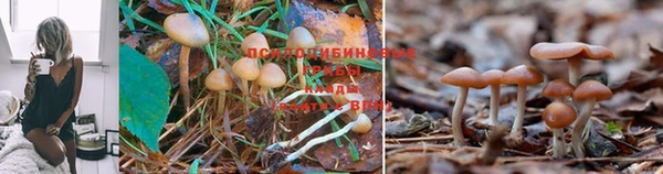 кокаин Инсар