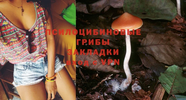 прущая мука Инта