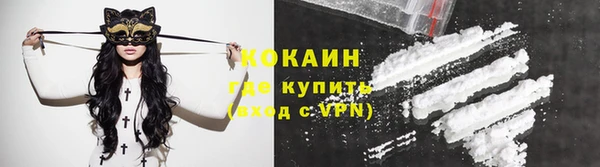 PSILOCYBIN Иннополис