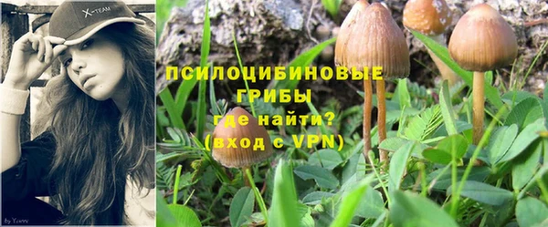 PSILOCYBIN Иннополис