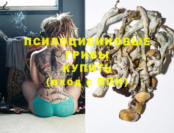 крисы Зеленокумск