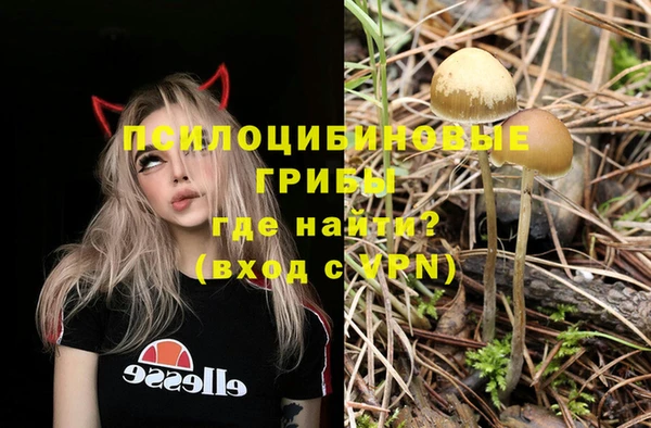 мескалин Ижевск