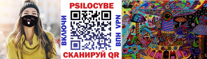 Псилоцибиновые грибы прущие грибы  Купить закладки  Кашин 